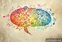 Speech Production: How the Brain Forms Words