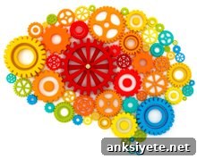 featured 10048