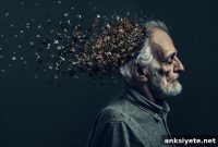 Shared Brain Changes in Schizophrenia and Aging