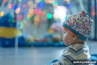 Unified Brain Blueprint for Early Brain Development
