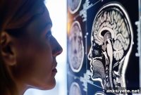 Midlife: Critical Period for Predicting Cognitive Decline