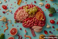How the Brain’s Food-Seeking Circuit Overrides Hunger Signals