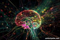 How the Brain’s Attention Network Controls Focus