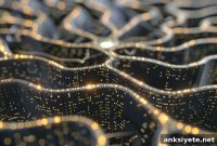 Why Neural Networks Follow a Common Learning Path