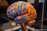 Scientists Pinpoint Brain Region for Attention Control