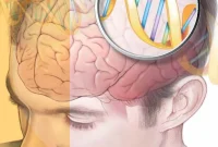 Rare Mutations Found in Ten Families with Early-Onset Alzheimer’s
