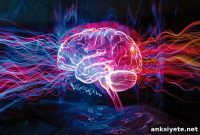 How Brain Rhythms Drive Cognition