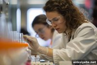 Which Scientists Are Most Trusted and Least Trusted?