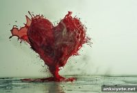 How Anger Alters Blood Flow and Raises Heart Risk