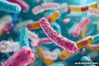Gut Microbiome Linked to Autism Symptoms