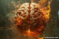 Fever Linked to Temporary Improvement in Autism Symptoms
