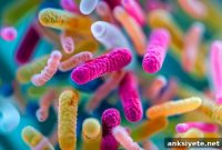 New Study Links Gut Microbiome to Alzheimer’s Risk