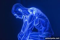 Light-Activated Muscles Reduce Fatigue