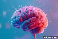 Study: Brain Holds 10x More Information Than Believed