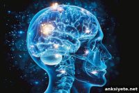 Study Finds Stuttering Linked to Specific Brain Network