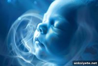 Prenatal Brain Growth Patterns Predict Autism Severity
