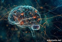 Brain Structures at Phase Transitions Across Species