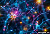 How Dopamine Levels Shape Mentalizing Abilities