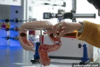 AI Pills Track Gut Microbiome in Real Time
