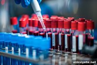 Blood Test Detects Parkinson’s Years Before Symptoms