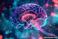 How the Hippocampus Differentiates Immediate and Future Goals