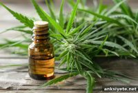 Study Finds CBD and Metformin May Improve Autism Symptoms