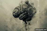 How Anesthesia Disrupts Brain Activity to Cause Unconsciousness