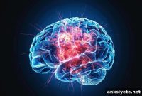 Novel Technique Could Transform Brain Cancer Treatment