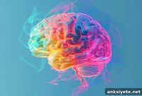 How Brain Structure Predicts Faster Motor Skill Learning