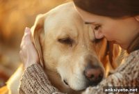 Dogs Detect Human Stress Scent and Change Mood and Behavior