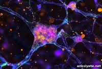 Reprogrammed Skin Cells Reveal How Aging Affects Alzheimer’s
