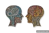 Brain Sync: How Words and Context Shape Communication
