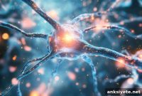 How Synaptic Quality Protects Memory in Aging