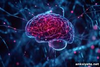 How a Brain Circuit Detects and Stores Fear