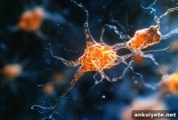 Tau Protein May Shield Neurons from Oxidative Stress
