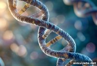 Scientists Discover Longevity Gene That Extends Lifespan