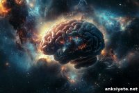 Antioxidants Shield Astronauts’ Brains from Space Radiation
