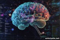 Study Finds Shared Brain Activity Patterns Predict Behavior