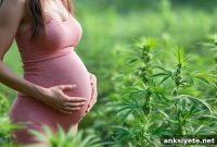Prenatal Cannabis Exposure Changes Gene Activity in Fetal Brain