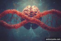 Genetic Overlap Between Bipolar Disorder and Epilepsy