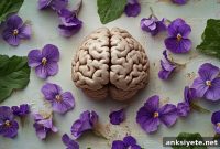 Violet Compound Enhances Glioblastoma Chemotherapy