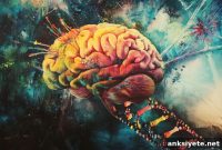Genetic Syndrome Ties Brain Development to Neurodegeneration