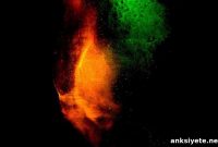 Scientists Reactivate Memory Circuits to Make Mice Seek Shelter