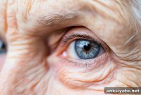 Macular Degeneration: New Protein Therapy Reduces Symptoms