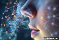 Humans Detect Rapid Chemical Changes in Smells with Each Sniff