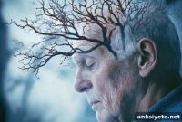Senescent Zombie Cells Linked to Faster Cognitive Decline