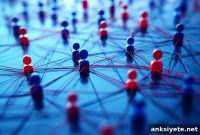 Verified Accounts Fuel Polarization and Echo Chambers