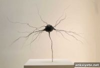 Yamanaka Factors Reverse Neuronal Aging in Brain Cells