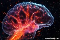 How Herpes Simplex (Cold Sore) Virus Reaches the Brain