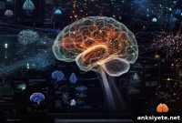 Scaling Brain Imaging Models for Real-World Clinical Use